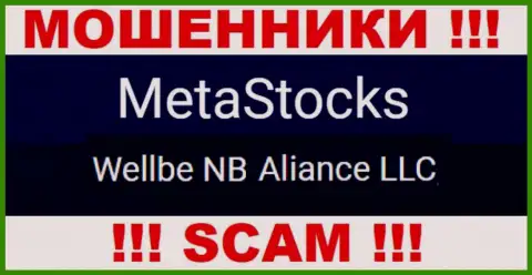 Юридическое лицо интернет-мошенников MetaStocks Co Uk - это Веллбе НБ Альянс ЛЛК
