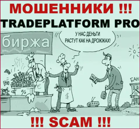 Доход с дилинговой организацией Trade Platform Pro Вы не получите - довольно-таки опасно вводить дополнительные финансовые средства