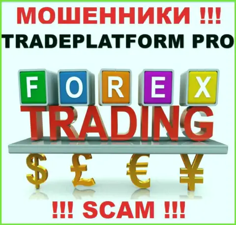Не стоит верить, что работа Trade Platform Pro в направлении Forex законная
