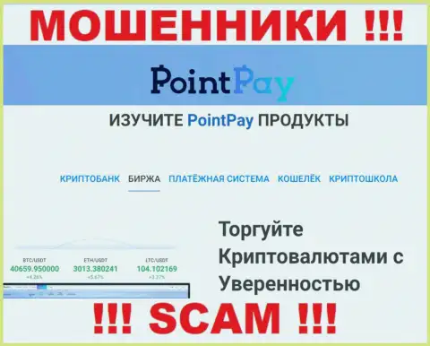 Поскольку деятельность интернет мошенников Point Pay - это обман, лучше будет совместной работы с ними избегать