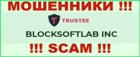 TrusteeWallet - это МОШЕННИКИ !!! Владеет указанным лохотроном BLOCKSOFTLAB INC