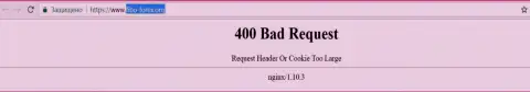 Официальный веб-ресурс компании Фибо Форекс некоторое количество суток недоступен и выдает - 400 Bad Request (ошибка)