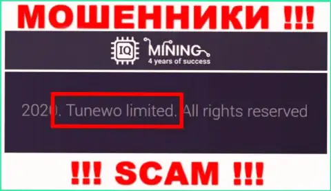 Мошенники IQ Mining пишут, что Tunewo Limited руководит их лохотронным проектом