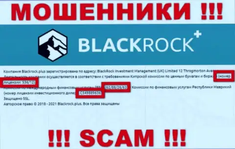 Black Rock Plus прячут свою мошенническую сущность, представляя у себя на сайте лицензию на осуществление деятельности