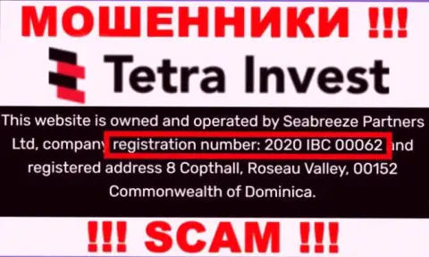 Регистрационный номер internet-мошенников Tetra Invest, с которыми не надо взаимодействовать - 2020 IBC 00062