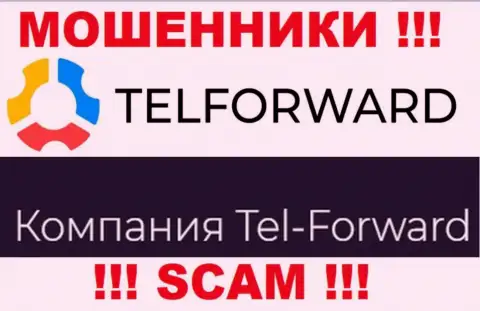 Юридическое лицо Тел Форвард - это Tel-Forward, именно такую информацию предоставили обманщики у себя на веб-портале