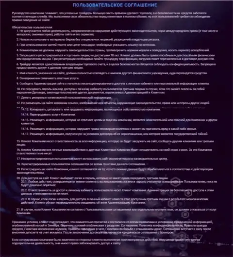 Пользовательское соглашение Zineera Com, опубликованное на веб-сервисе дилера